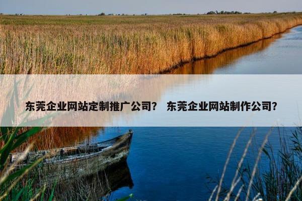 东莞企业网站定制推广公司？ 东莞企业网站制作公司？