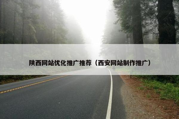 陕西网站优化推广推荐（西安网站制作推广）