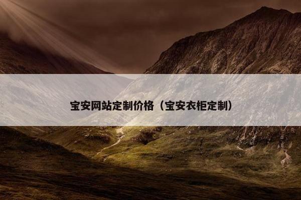 宝安网站定制价格（宝安衣柜定制）