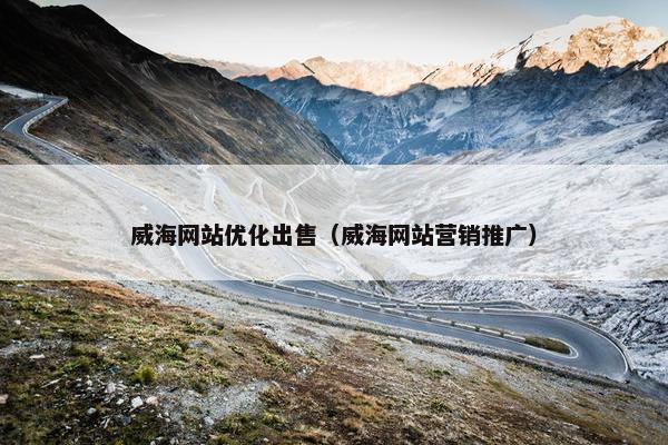威海网站优化出售（威海网站营销推广）