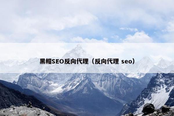 黑帽SEO反向代理（反向代理 seo）