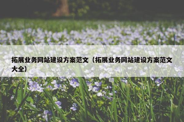 拓展业务网站建设方案范文（拓展业务网站建设方案范文大全）