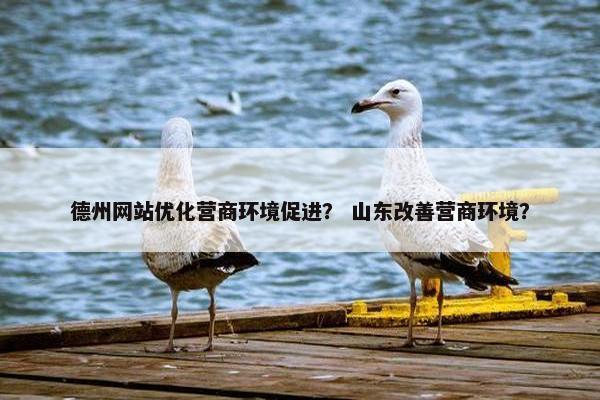 德州网站优化营商环境促进？ 山东改善营商环境？