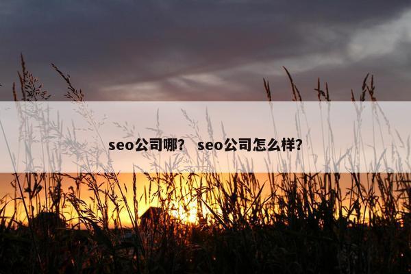 seo公司哪？ seo公司怎么样？