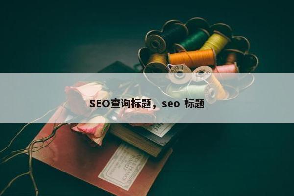 SEO查询标题，seo 标题