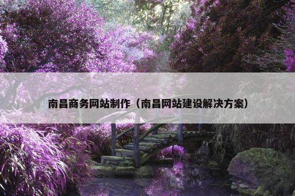 南昌商务网站制作（南昌网站建设解决方案）