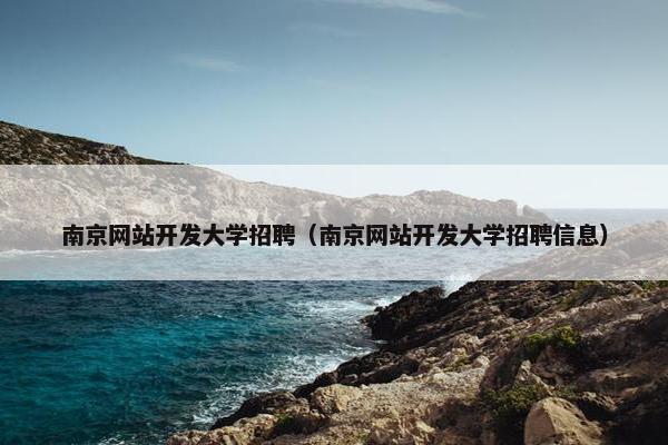 南京网站开发大学招聘（南京网站开发大学招聘信息）
