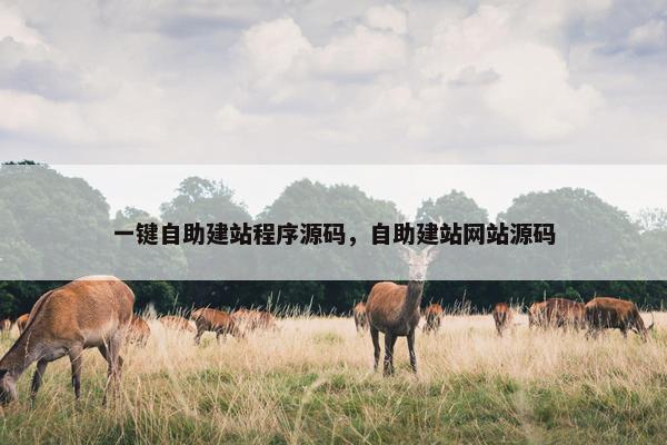 一键自助建站程序源码，自助建站网站源码
