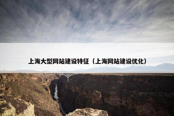 上海大型网站建设特征（上海网站建设优化）