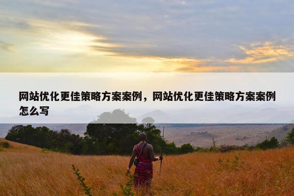 网站优化更佳策略方案案例，网站优化更佳策略方案案例怎么写