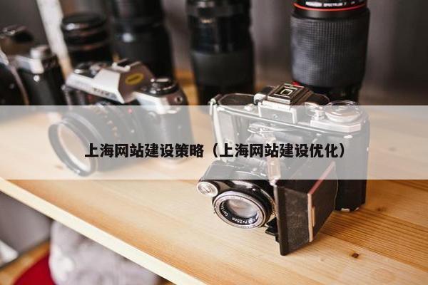 上海网站建设策略（上海网站建设优化）