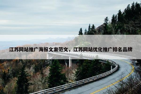 江苏网站推广海报文案范文，江苏网站优化推广排名品牌