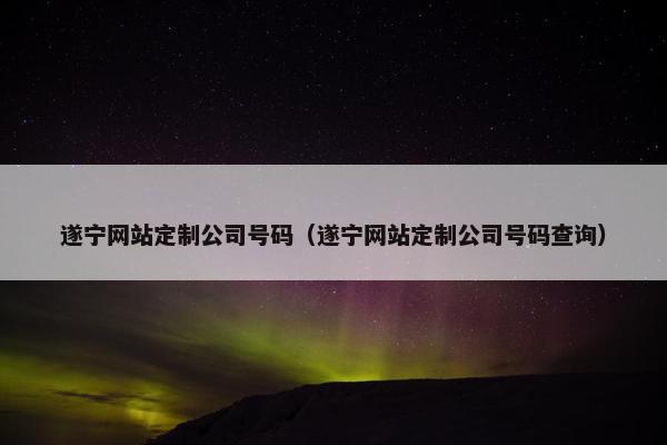 遂宁网站定制公司号码（遂宁网站定制公司号码查询）