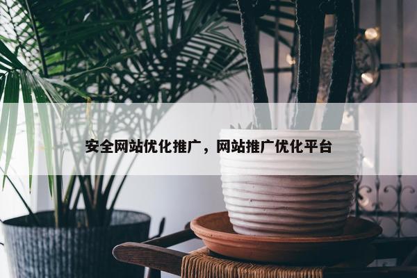 安全网站优化推广，网站推广优化平台