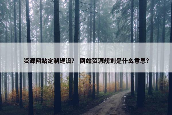 资源网站定制建设？ 网站资源规划是什么意思？