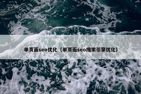 单页面seo优化（单页面seo搜索引擎优化）