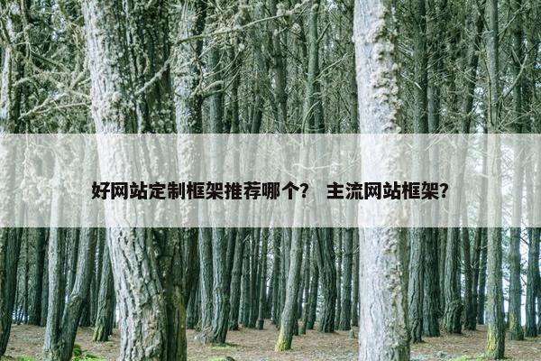 好网站定制框架推荐哪个？ 主流网站框架？