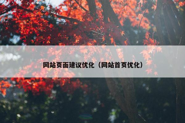网站页面建议优化（网站首页优化）