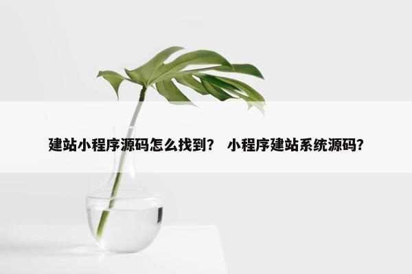 建站小程序源码怎么找到？ 小程序建站系统源码？