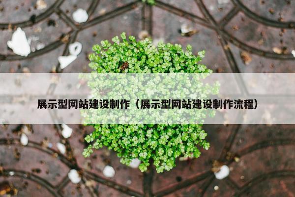 展示型网站建设制作（展示型网站建设制作流程）