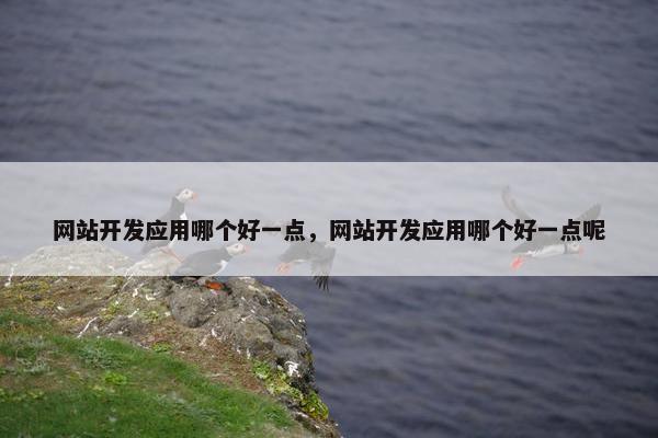 网站开发应用哪个好一点，网站开发应用哪个好一点呢