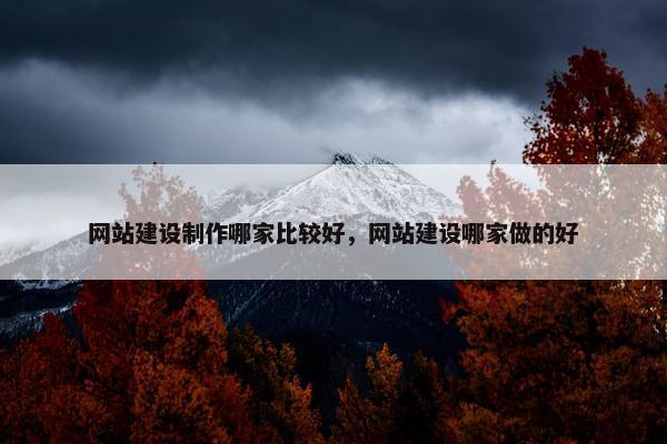 网站建设制作哪家比较好，网站建设哪家做的好