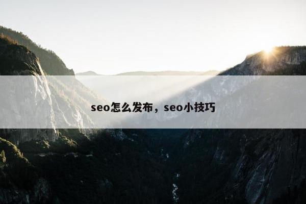 seo怎么发布，seo小技巧