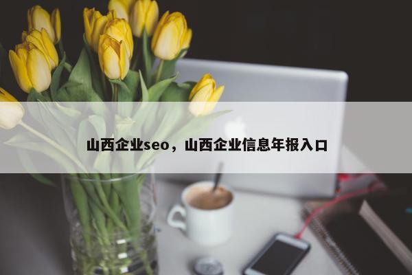 山西企业seo，山西企业信息年报入口