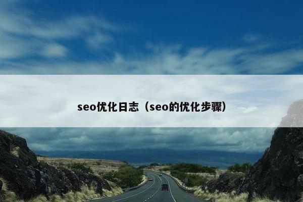 seo优化日志（seo的优化步骤）