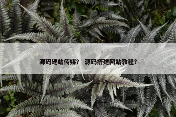 源码建站传媒？ 源码搭建网站教程？