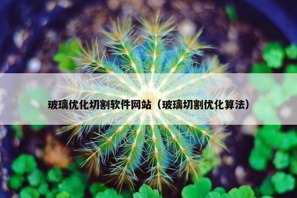 玻璃优化切割软件网站（玻璃切割优化算法）