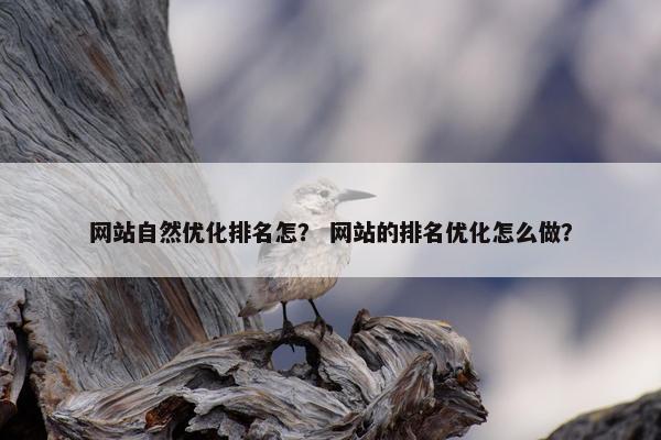 网站自然优化排名怎？ 网站的排名优化怎么做？