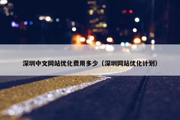 深圳中文网站优化费用多少（深圳网站优化计划）