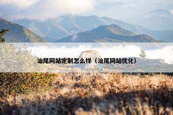 汕尾网站定制怎么样（汕尾网站优化）