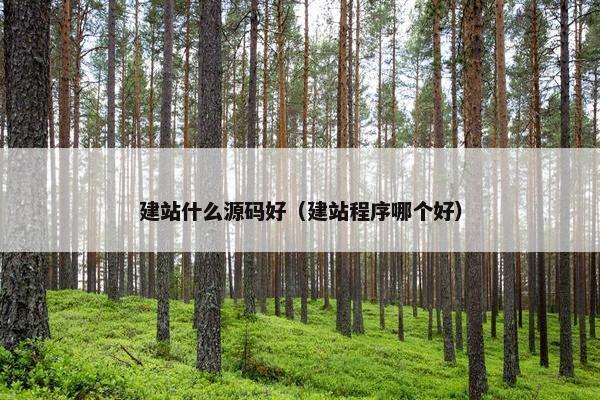 建站什么源码好（建站程序哪个好）