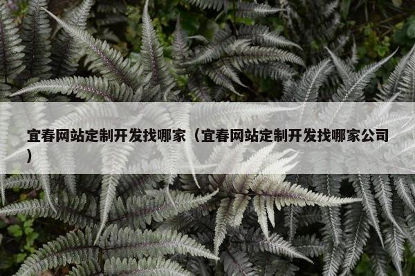 宜春网站定制开发找哪家（宜春网站定制开发找哪家公司）