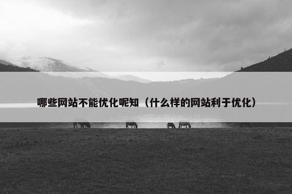 哪些网站不能优化呢知（什么样的网站利于优化）