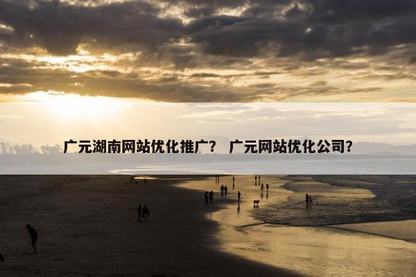 广元湖南网站优化推广？ 广元网站优化公司？