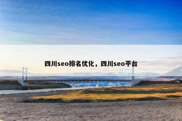 四川seo排名优化，四川seo平台