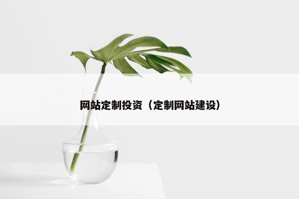 网站定制投资（定制网站建设）