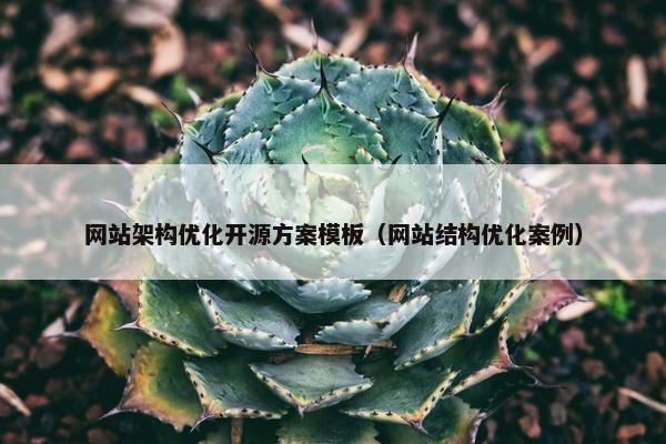 网站架构优化开源方案模板（网站结构优化案例）