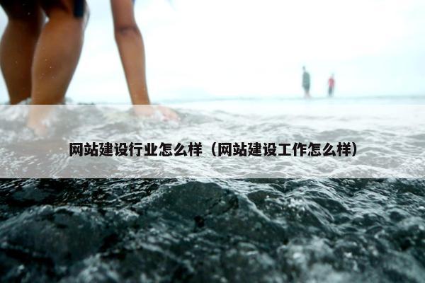 网站建设行业怎么样（网站建设工作怎么样）
