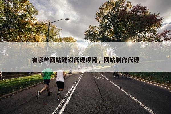 有哪些网站建设代理项目，网站制作代理