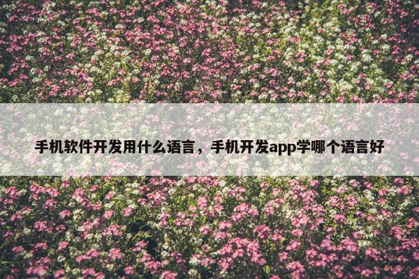 手机软件开发用什么语言，手机开发app学哪个语言好
