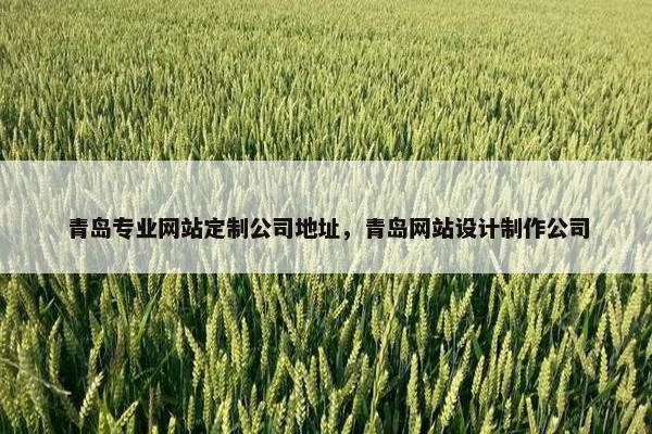 青岛专业网站定制公司地址，青岛网站设计制作公司