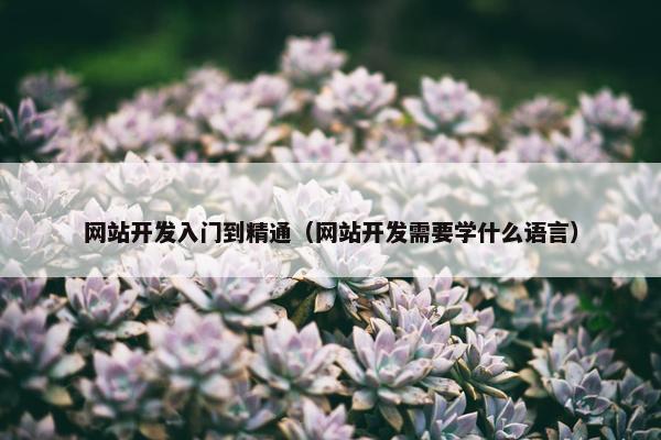网站开发入门到精通（网站开发需要学什么语言）