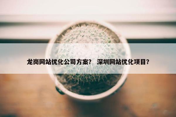 龙岗网站优化公司方案？ 深圳网站优化项目？