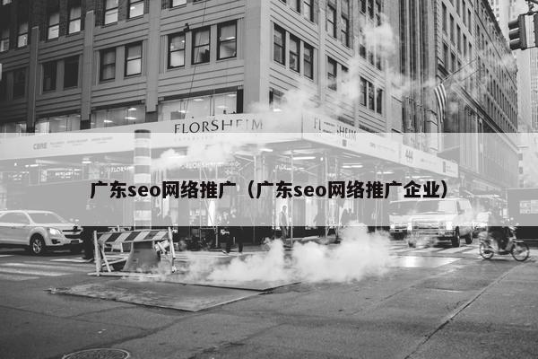 广东seo网络推广（广东seo网络推广企业）