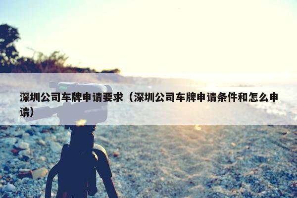 深圳公司车牌申请要求（深圳公司车牌申请条件和怎么申请）