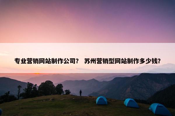 专业营销网站制作公司？ 苏州营销型网站制作多少钱？